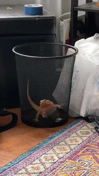 Sm&eacute;agol put herself in the trash (again)