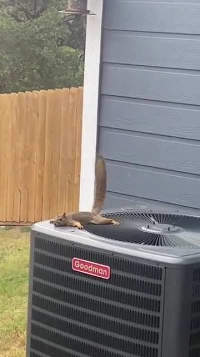 Just chilling here