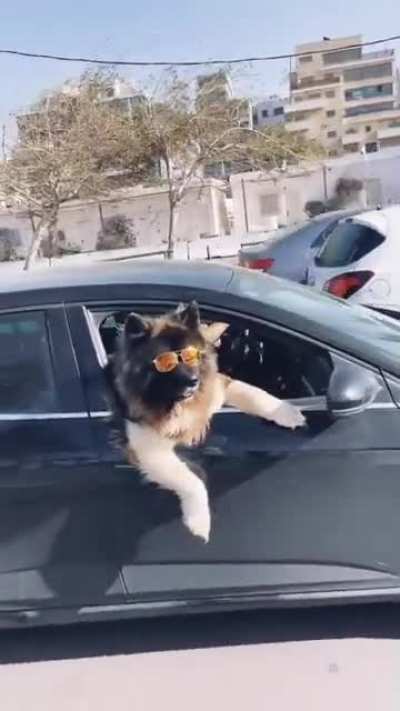 Just another casual day