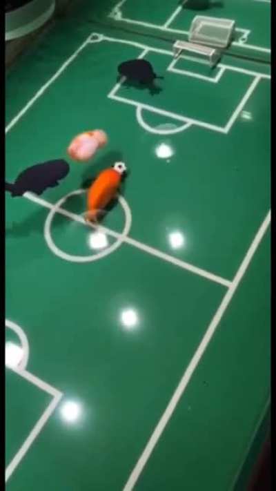 blursed fish