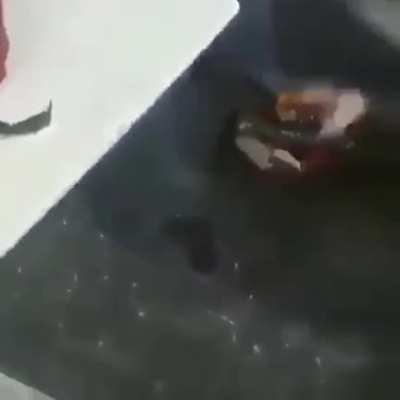 🦀