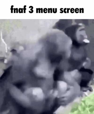 archive so this gif doesnt go anywhere