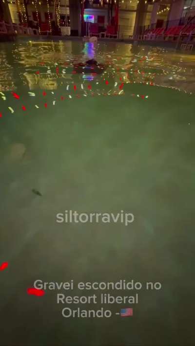 Sil Torra