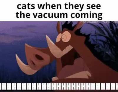 What is this foul unholy creature?!