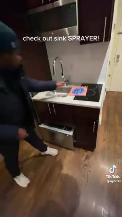 Guess the rent