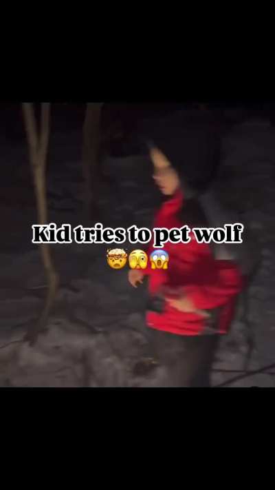 "yeah i let my kids play with the wolves, they havent bitten his face off yet and its cute!!" holy 🤦&zwj;♀️