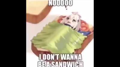 NYANPASUUUUU