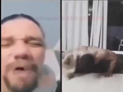 Para de postar meme saturado seus porra