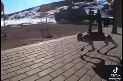 They are putting guns on robots now&hellip;