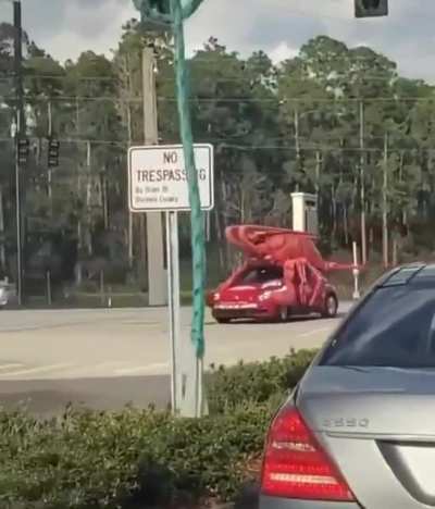 He do be looking kinda fresh doe