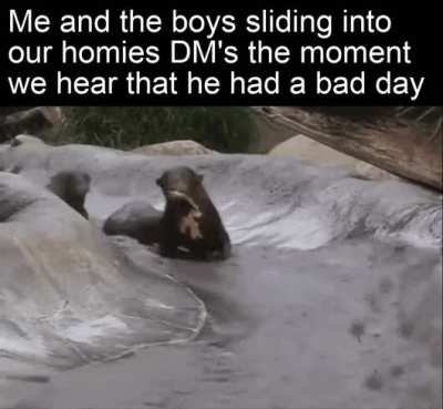 There we come