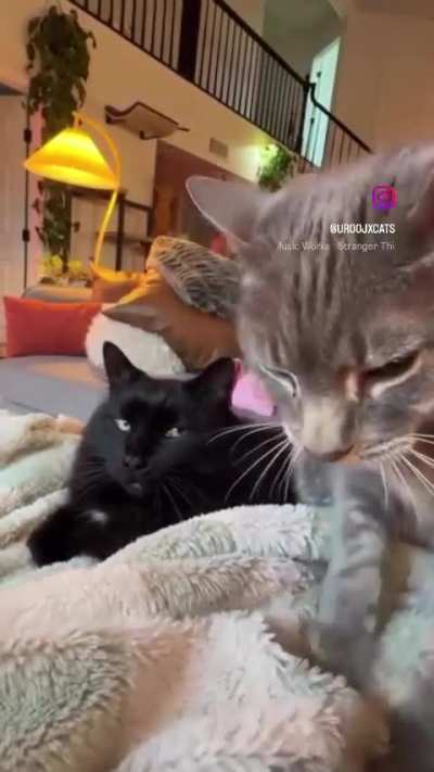 If he makes one more damn biscuit&hellip;