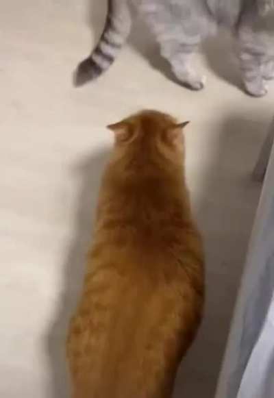 Attack