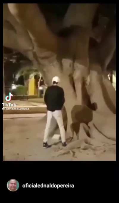 XD