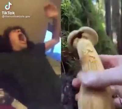 I hate TikTok