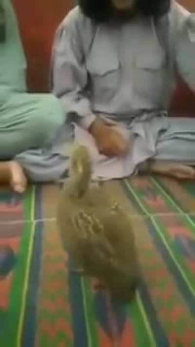 Ghazi Kukri!