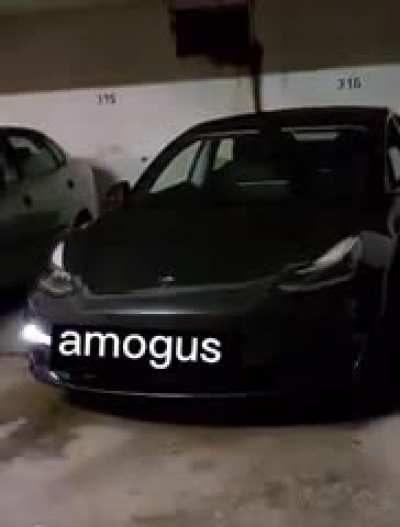 sus