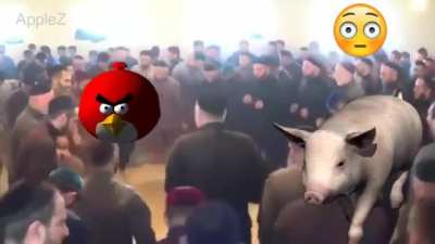 هقنث🤒😱😱HALAL??? PUNJABI DANCE???😳😳144p 24fps AFGHANI DOWNLOAD 😎😎هيتس يهي epic syria sex😂🪓