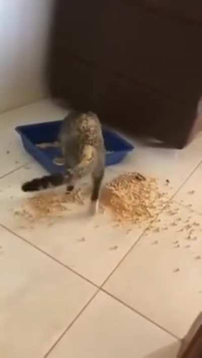 ELE S&Oacute; QUERIA FAZER TOT&Ocirc;