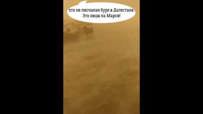 Приземлившийся зонд &laquo;Тяньвэнь-1&raquo; показал Марс своими &laquo;глазами&raquo;
