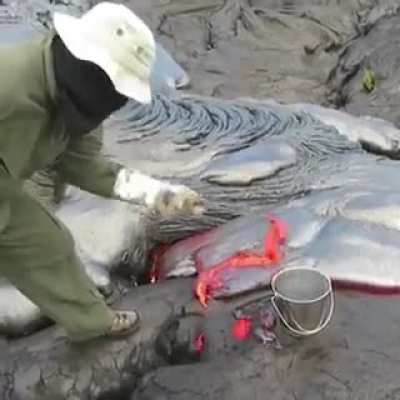 This is how Geologists collect lava samples from an active volcano
