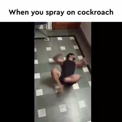 Cockroach
