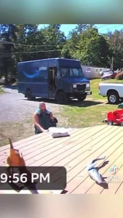 Delivery picture