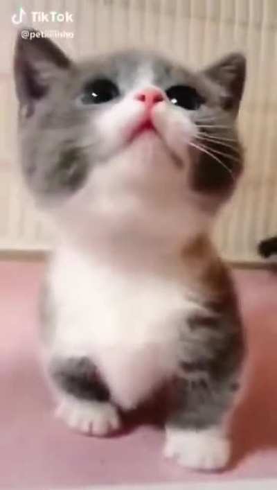 You scared me human