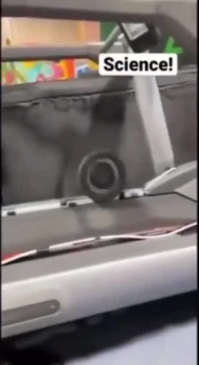 Chucklehead