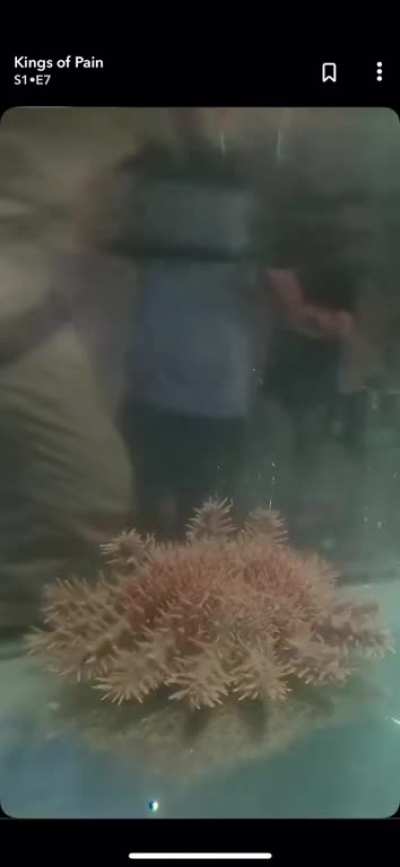 His friend&rsquo;s face lmao.