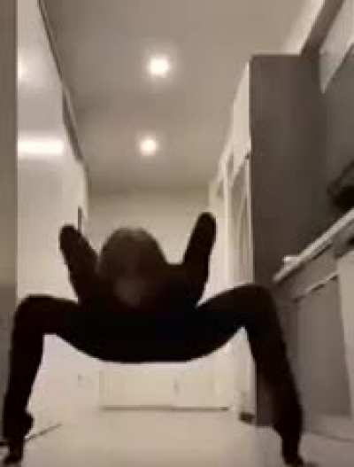 spider