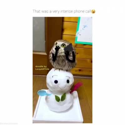 This doodle on an owl by LeopARTnik