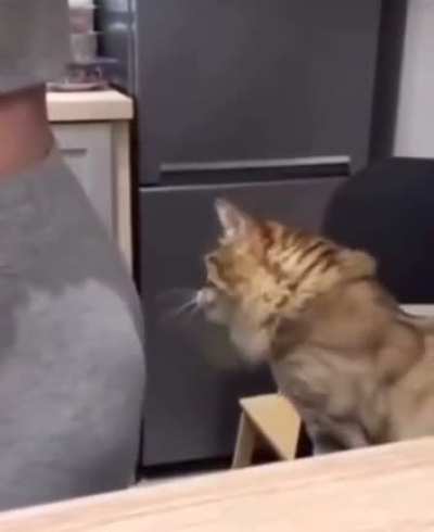 Mnom.