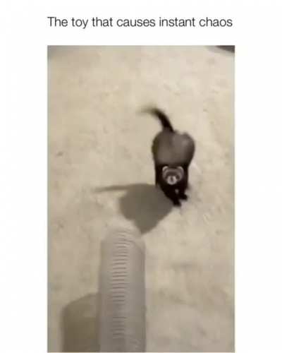 Maybe maybe maybe