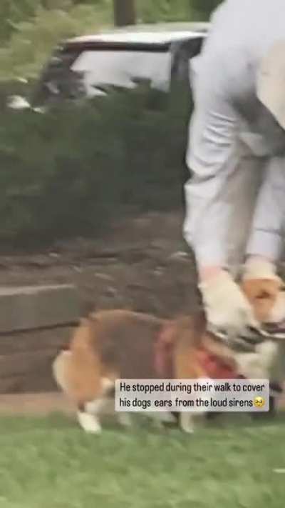 A small gesture for his dog