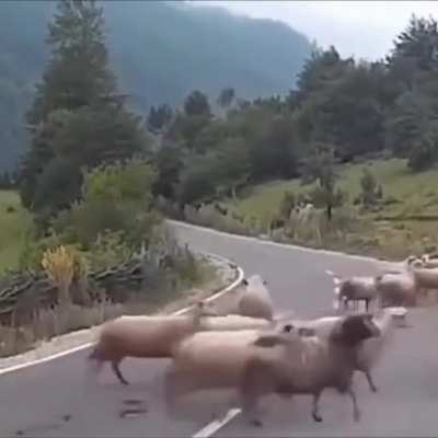 They&rsquo;re taking over