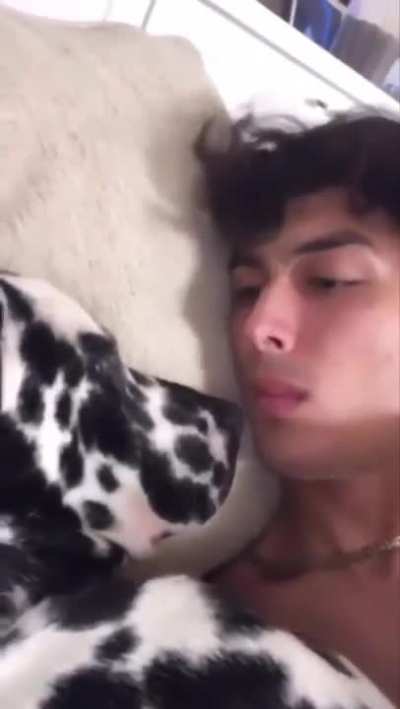 A dog and its owner are cuddling
