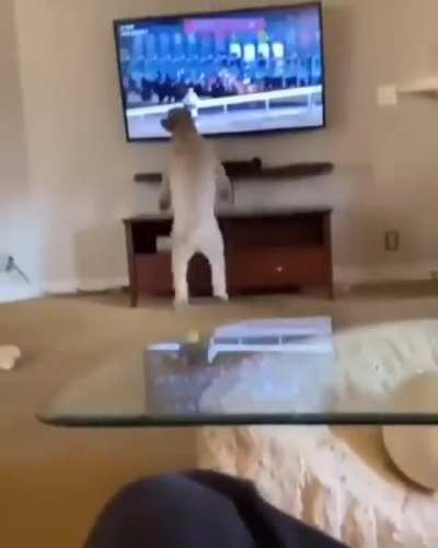 A true fan