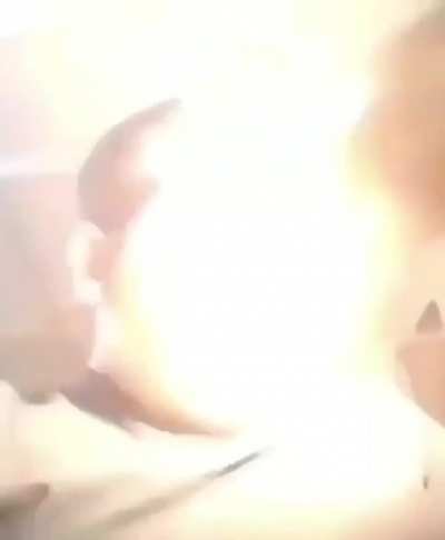 perfectlycutscreams - Video #0791