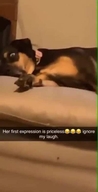 He askin us if we seein that shit