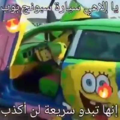 Sponge
