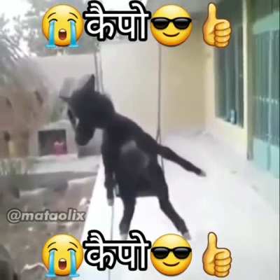 😎👍