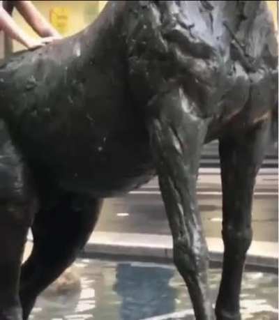 Instant karma for climbing on a statue