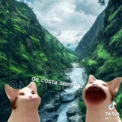 &Oacute;ia a predaaaaaaa