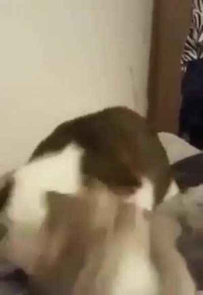 Does this count?