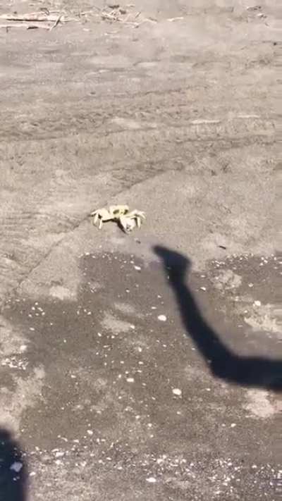 To fight the person