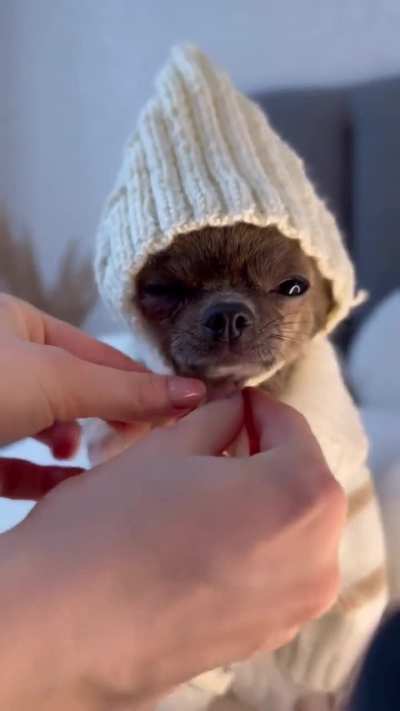 O frio t&aacute; chegando