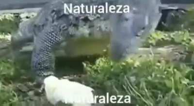 Naturaleza