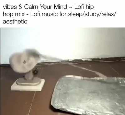 ⭕️
