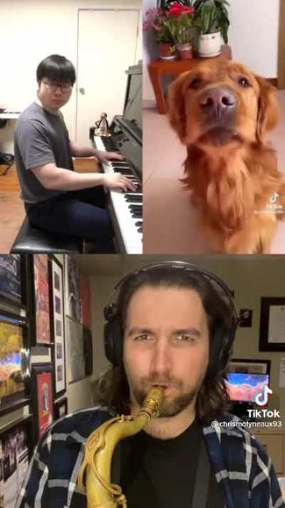 Sad dog song
